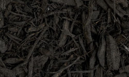 Tree Works Ltd photo 8